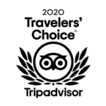 2020-08-07 RHF Travelers's Choice 2020 light