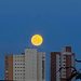 Full Moon over Refúgio Hostel Fortaleza & Pousada